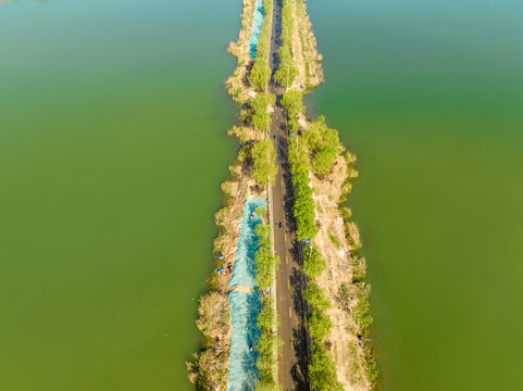 济南鹊山龙湖湿地