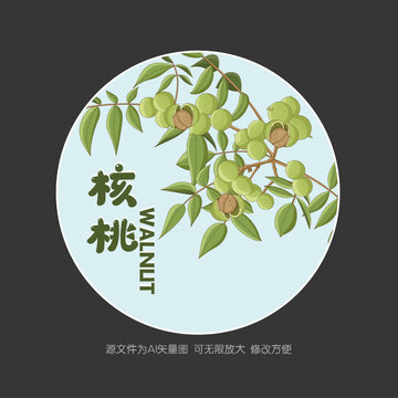 手绘核桃树