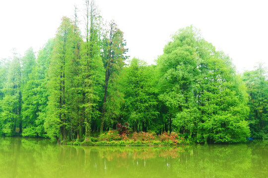 湖泊美景