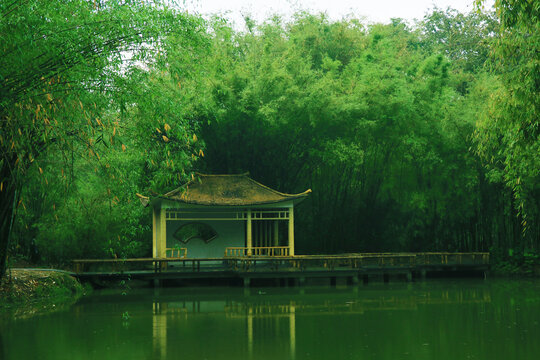 竹林小屋