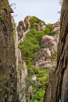 大峡谷