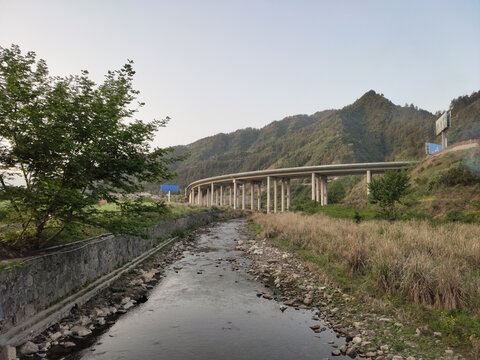 枫杨树与河流