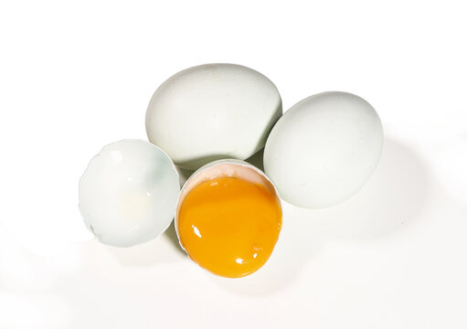 绿皮鸡蛋