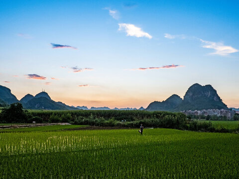 美丽的田野