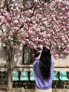 海棠花下的少女