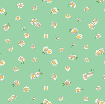 淺綠底米色小雛菊