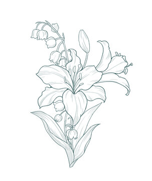 鈴蘭百合花卉組合線稿