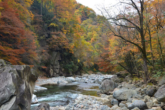 光雾山