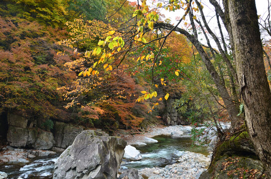 光雾山