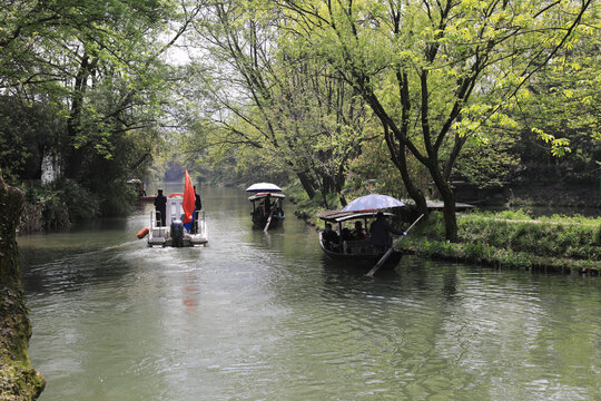 西溪湿地