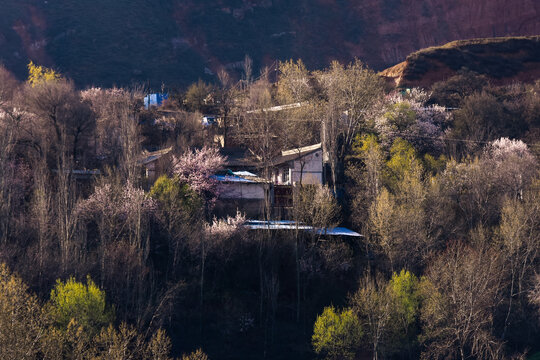 甘肃乡村春色田园风光