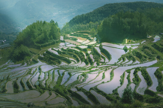 丽水云和梯田