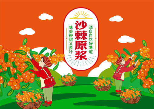 沙棘包裝