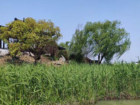 自然风景湖泊南北湖