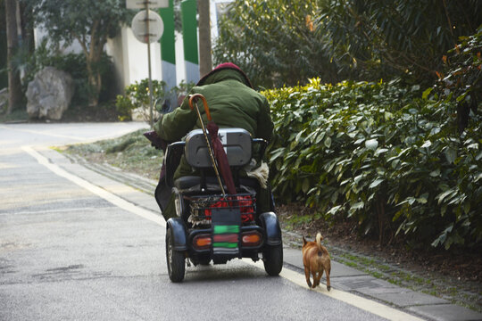 老人出行电动三轮车