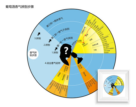 葡萄酒香气识别步骤