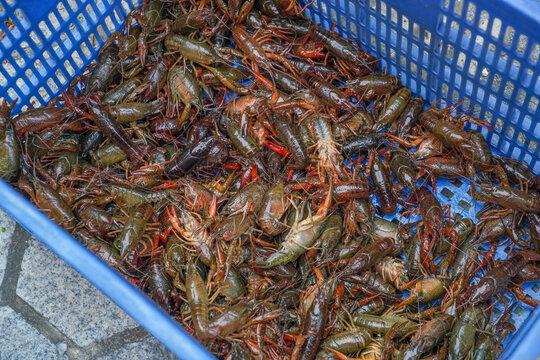 小龙虾海鲜夜宵夜美食