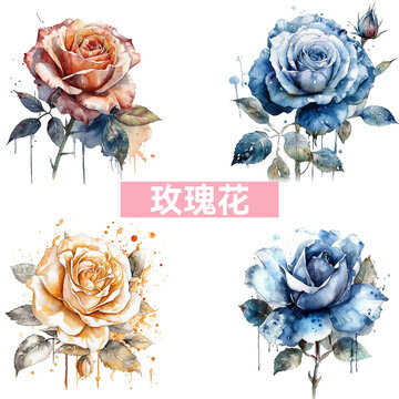 水彩金玫瑰蓝玫瑰插画素材组合