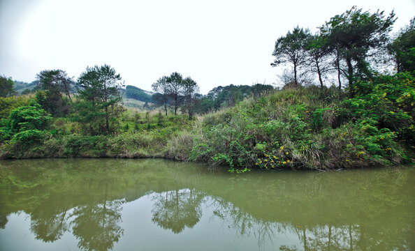 虎形岭山塘