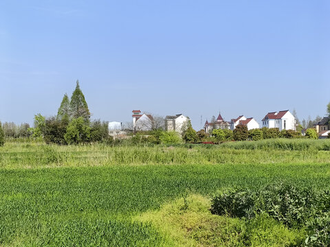 浙北农村田园风光