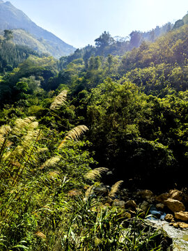 山川溪流