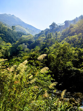 山川溪流