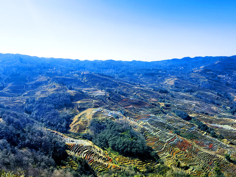 元阳县梯田