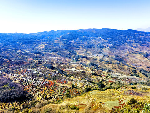 元阳梯田