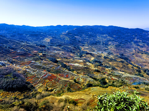 田野田园