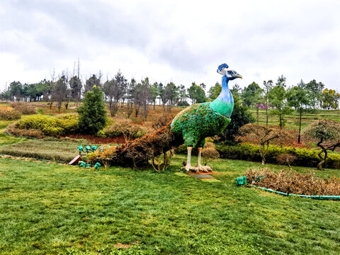 孔雀绿植雕塑