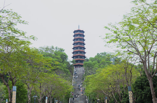 深圳红花山公园风光