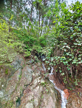 圣山油榨冲山泉