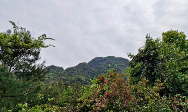 圣山峰顶