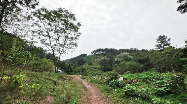 圣山