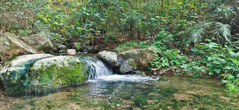 圣山山泉