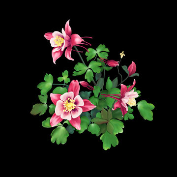 寫實的花