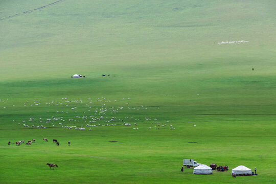 草原牧场蒙古包羊群牛群