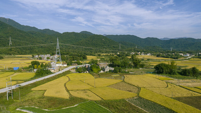 农村风光