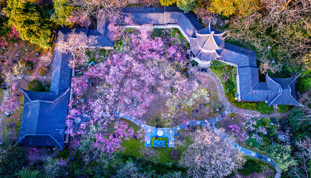 航拍南京雨花台风景区梅岗