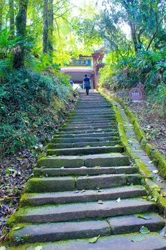 登山石阶