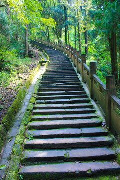 登山石阶