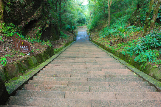 登山石阶