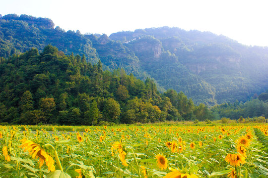 齐云山景区