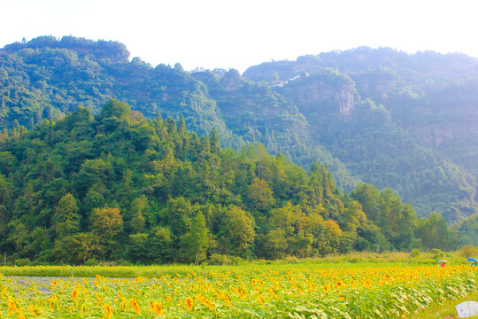 齐云山景区