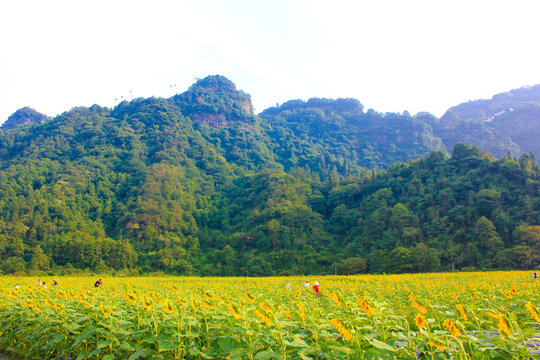 齐云山景区