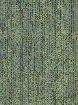 地毯布纹丝织物纹理