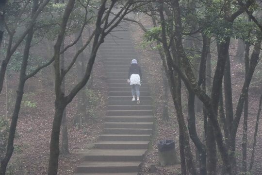 雾天林间小路