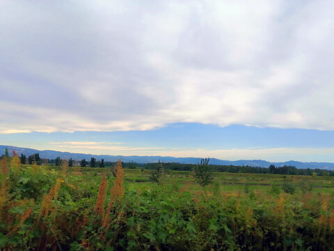 田野