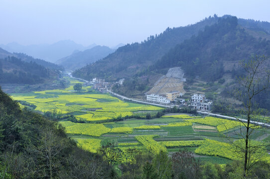 春天春色河池南丹风光