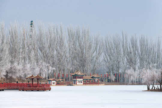 酒泉泉湖公园雾凇雪景